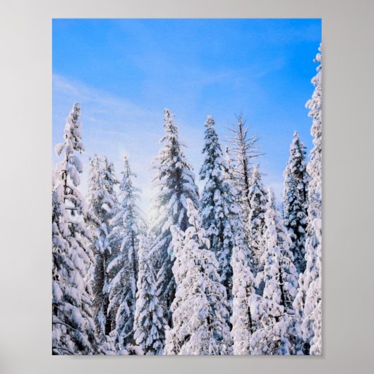 Winter Wonderland Pine Trees in sneeuw Poster (Voorkant)