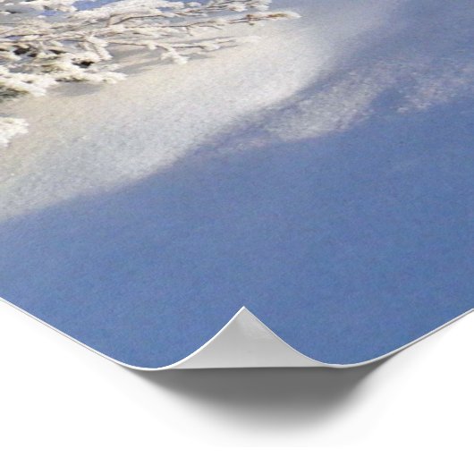 Winter Wonderland Poster (Hoek)
