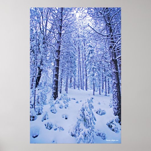 Winter Wonderland Poster (Voorkant)