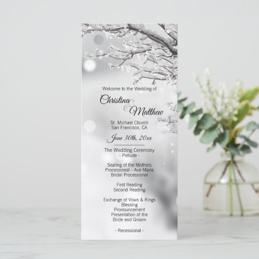 Winter Wonderland Sneeuw trouwceremonie Programma (Staand voorkant)