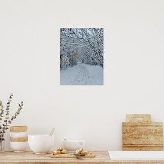 Winter Wonderland Sneeuwpark Lege Kaart Poster