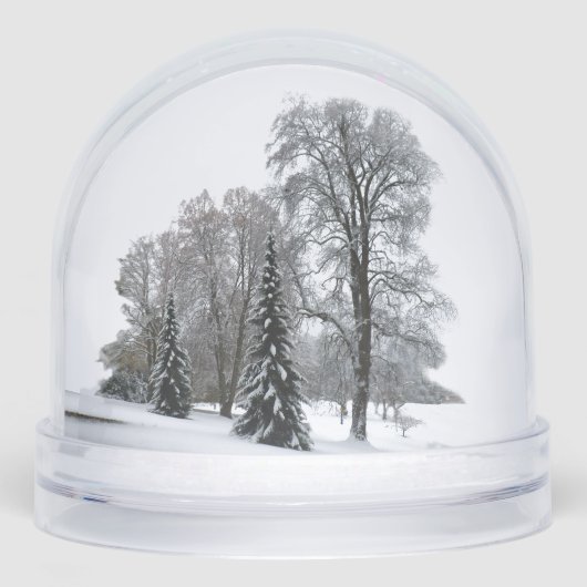 Winter Wonderland Snow Globe Snow Forest Snowglobe (Avant)