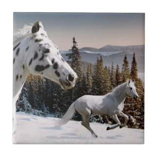 Winter Wonderland Tegeltje