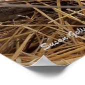 Winter Woodland Feral Cat Print (Hoek)