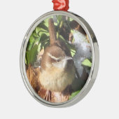 Winter Wren Metalen Ornament (Links)
