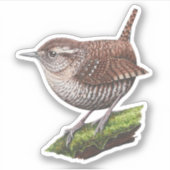 Winter Wren Sticker (Voorkant)