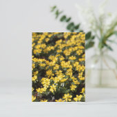 Winteraconiet (Eranthis hyemalis) Briefkaart (Staand voorkant)