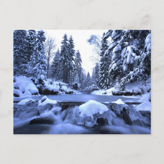 Winterberg: Beskid Mountains, Polen Briefkaart (Voorkant)