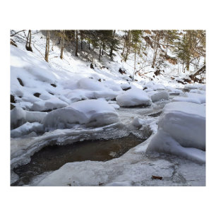 Winterberg Rivier – Wilde Natuur Roemenië Foto Afdruk