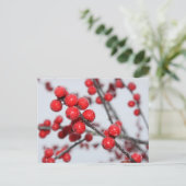 Winterberry Briefkaart (Staand voorkant)