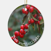 Winterberry Holly Botanical Keramisch Ornament (Links)