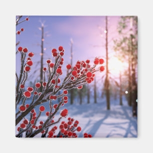 Winterberry in Ice Magnet Magneet