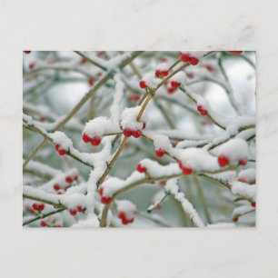 Winterbessen Briefkaart