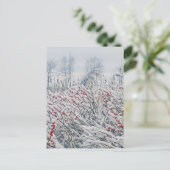 winterbessen en kattails briefkaart (Staand voorkant)
