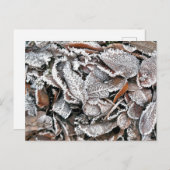 WINTERBLADEREN BRIEFKAART (Voorkant / Achterkant)