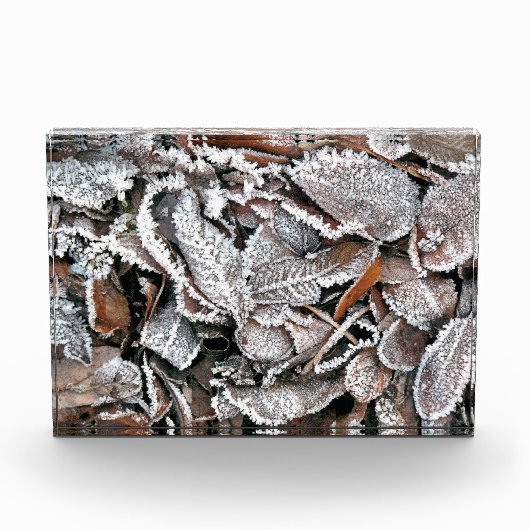 WINTERBLADEREN FOTOBLOKKEN (Voorkant)