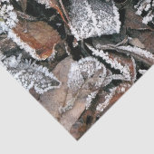 WINTERBLADEREN TISSUEPAPIER (Detail)