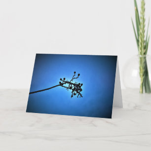 Winterblauw, kaart