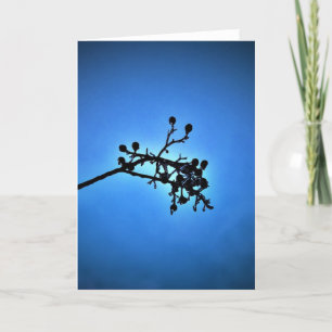 Winterblauw, kaart
