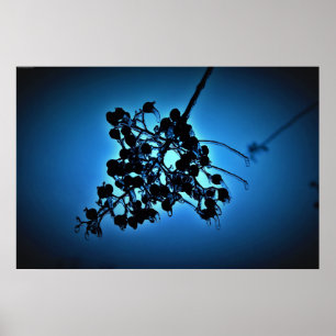 Winterblauw, Poster