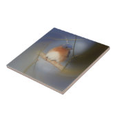 Winterblauw-vogel-Natuur Tegeltje (Zijkant)