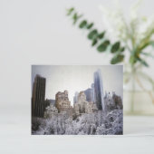 Winterblauwe plekken in het centrale park briefkaart (Staand voorkant)