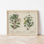 Winterbloemen | Charlotte Mary Yonge Poster