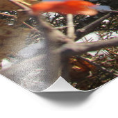 "Winterbloesems" Foto Afdruk (Hoek)