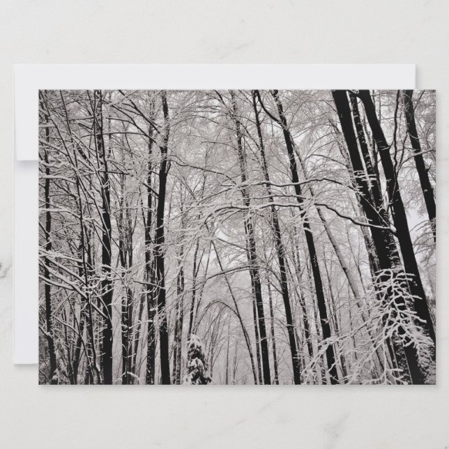 Winterbomen (Voorkant)