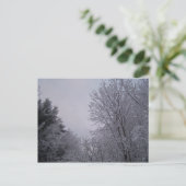 Winterbomen Briefkaart (Staand voorkant)