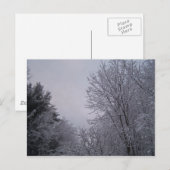 Winterbomen Briefkaart (Voorkant / Achterkant)