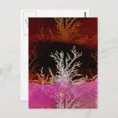 WINTERBOMEN BRIEFKAART (Voorkant / Achterkant)