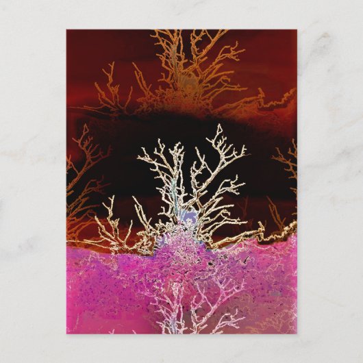 WINTERBOMEN BRIEFKAART (Voorkant)