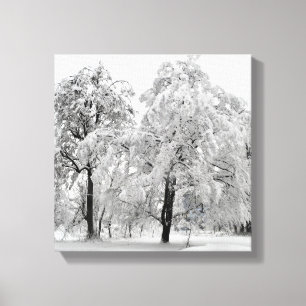 Winterbomen Canvas Afdruk