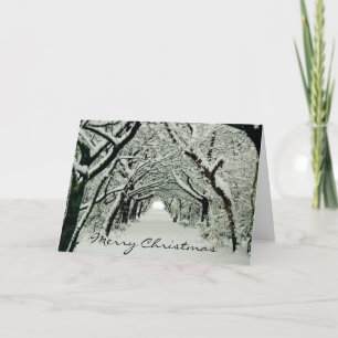 Winterbomen Feestdagen Kaart