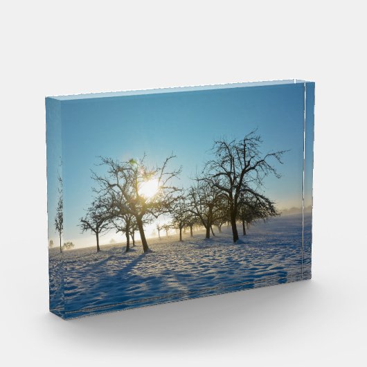 Winterbomen   -     - fotoblokken (Links)