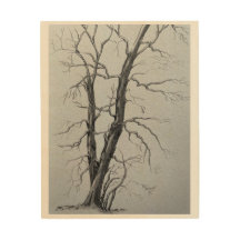 Winterbomen