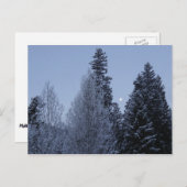 Winterbomen in het landschap van Dawn Montana Briefkaart (Voorkant / Achterkant)