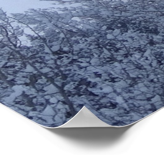 Winterbomen in het landschap van Dawn Montana Poster (Hoek)