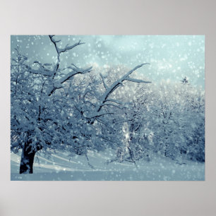 Winterbomen Landschap Poster