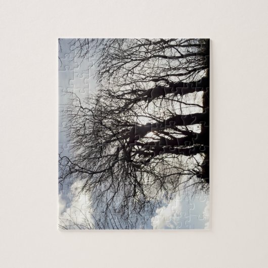 Winterbomen langs een Landes Cornwall England Legpuzzel (Verticaal)