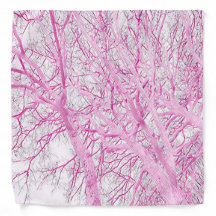 Winterbomen (roze)