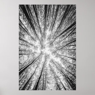 Winterbomen silhouet #1 poster