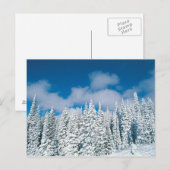 Winterbomen, Steamboot, Colorado, VS Briefkaart (Voorkant / Achterkant)