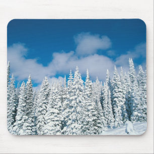 Winterbomen, Steamboot, Colorado, VS Muismat