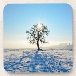 Winterboom Bier Onderzetter
