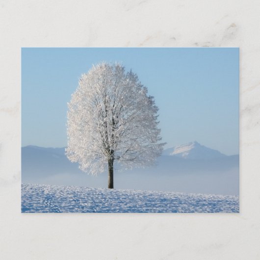 Winterboom Briefkaart (Voorkant)