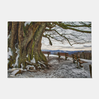 Winterboom en deurmat
