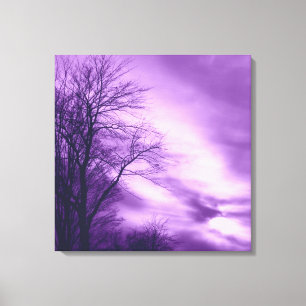 Winterboom en Sky in Paarse Ingewikkeld Canvas Afdruk