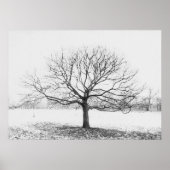 Winterboom Poster (Voorkant)